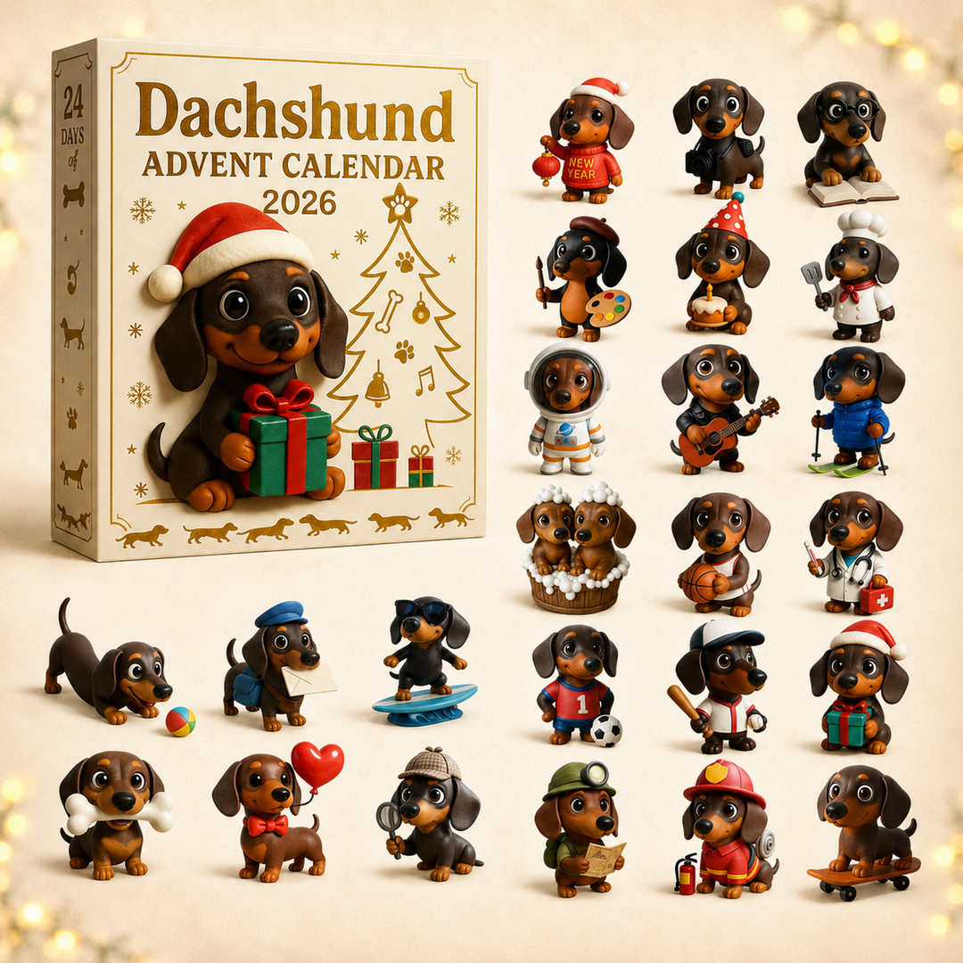 🎁 Calendrier de l’Avent Teckel 2026 – Boîte Surprise 💕🐶