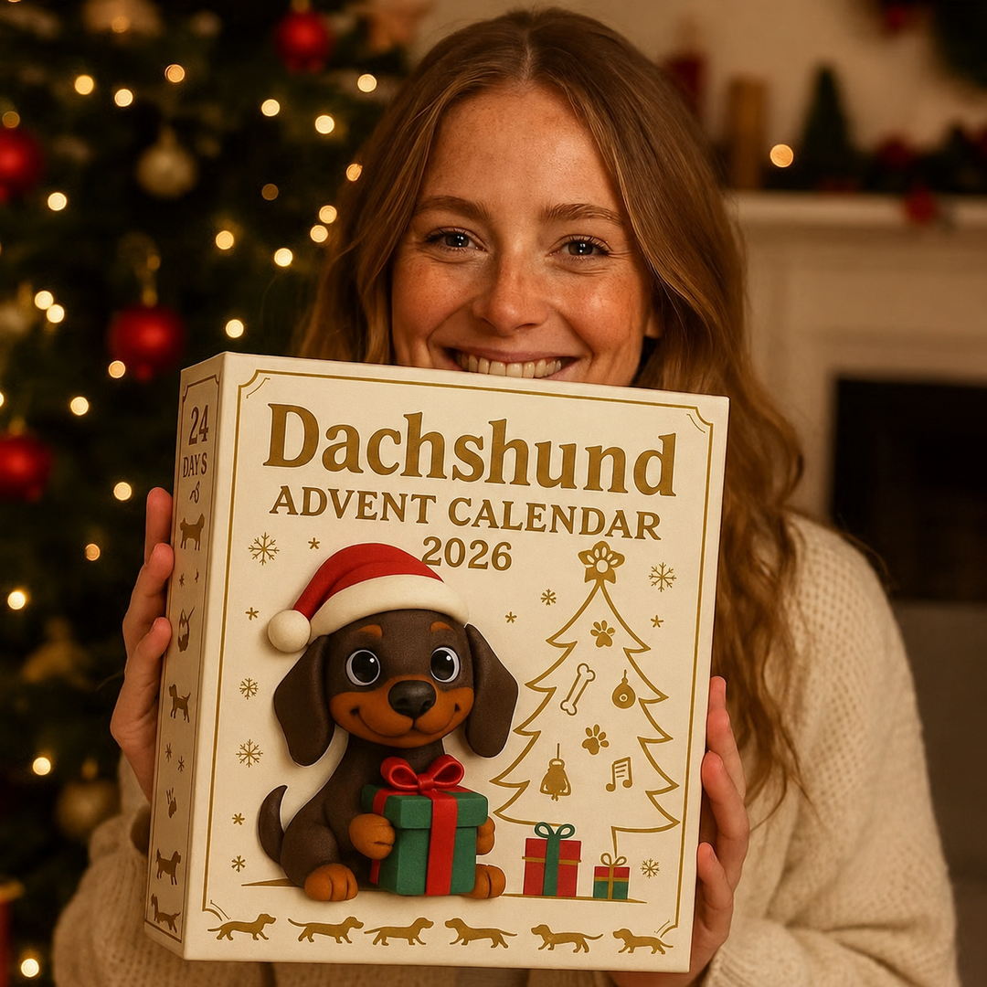 🎄🐾 Calendrier de l'Avent Teckel 2026 🐶✨